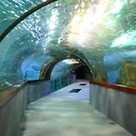 招待所 瑞吉尔旅馆